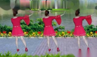 广场舞水月翔燕简单十四步用的是什么歌曲 十六步广场舞教学